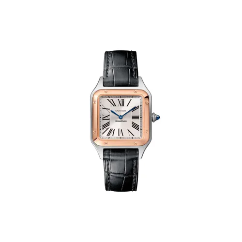 Cartier Santos Dumont W2SA0012
