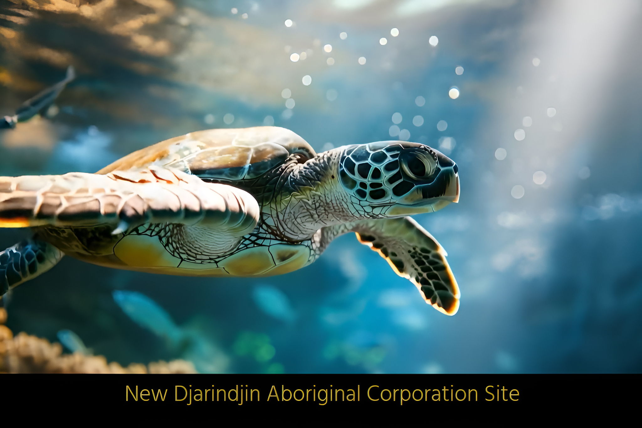 Sydney Business Web - Image 4