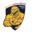 Rovers United Bruck CC logo