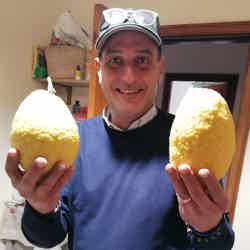Daniele - Palermo