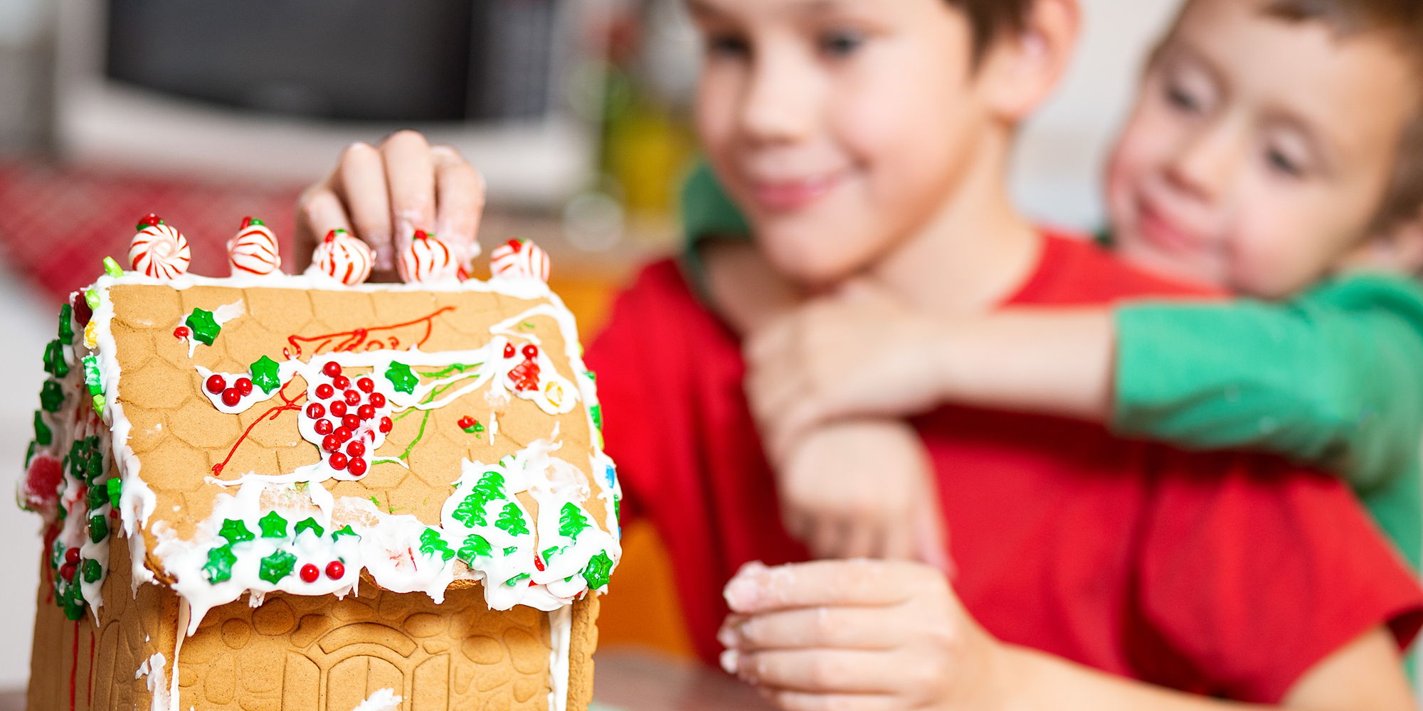 Family Workshop: Gingerbread Houses promotional image