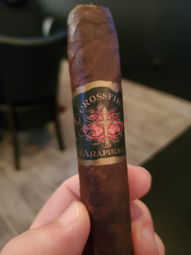 Cigar Session Photo