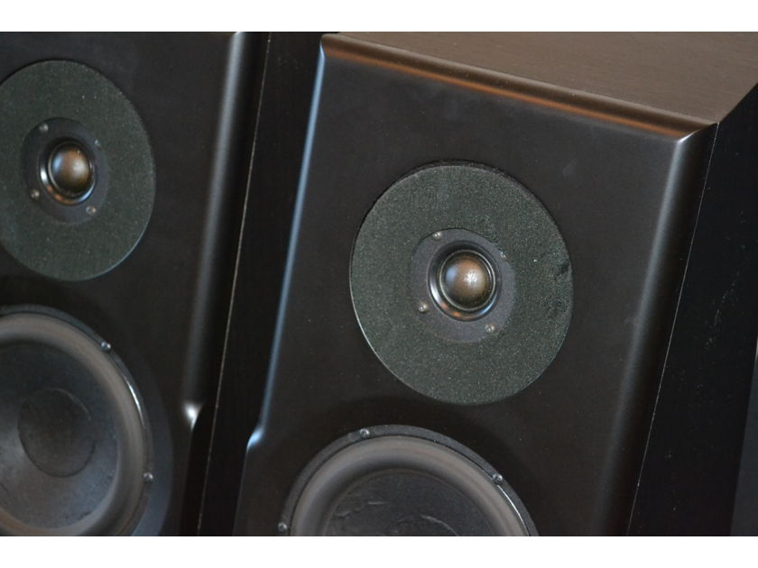 Meadowlark Audio Shearwater Floor standing speaker