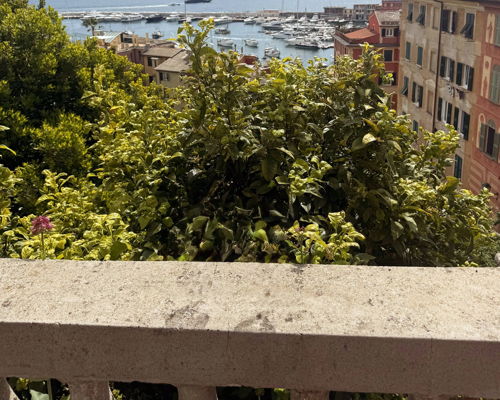 Cooking classes Santa Margherita Ligure: Ligurian pesto in historic villa with sea view