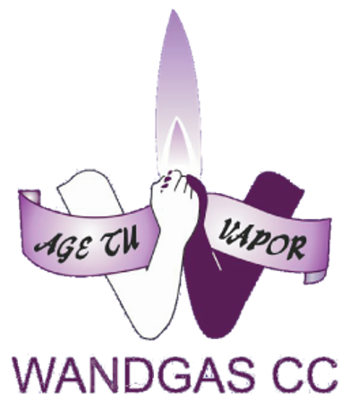 Wandgas CC Cricket Club Logo