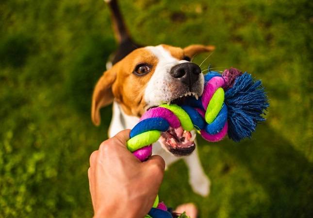 Tug of War