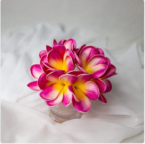 Orchid Frangipani Flowerhead (6 Pack)- Realistic Artificial Flowers - Image 6
