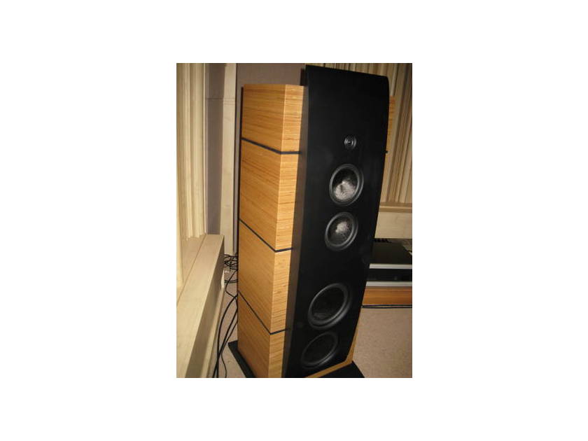 Magico M5 Simply Gorgeous! Priced to Sell!