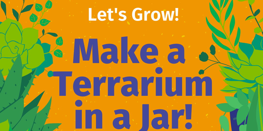 Terrarium Workshop promotional image