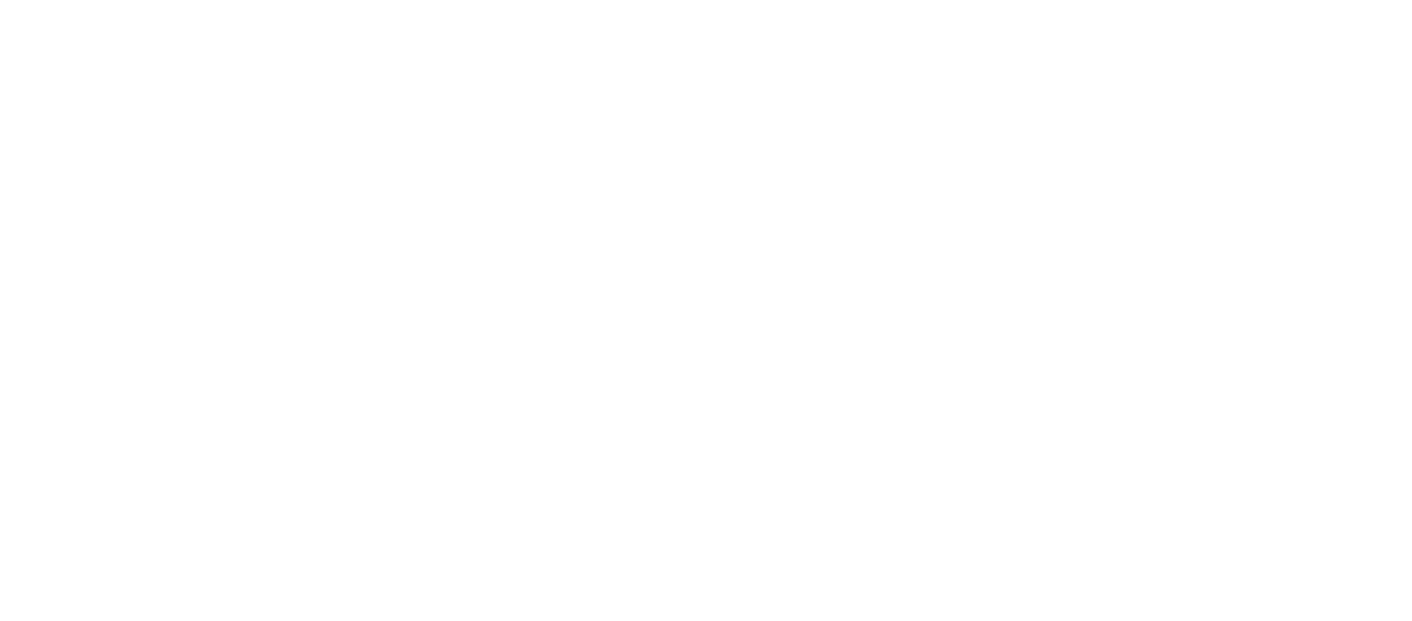 Celia Ruiz Logo