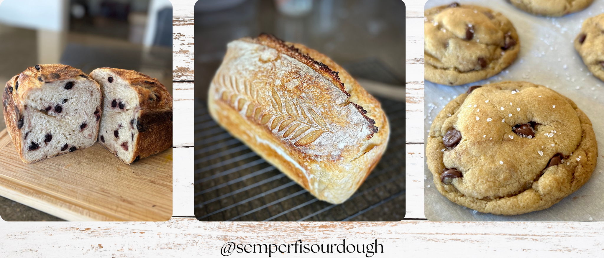 Shannon | Homemade Sourdough | Cave Creek/N.Phoenix 🌵 — photo from hotplate.com
