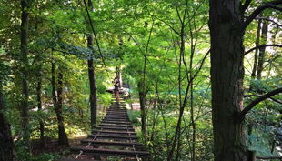 treetree lange brücke