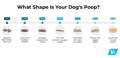 Illustrated spectrum of 7 types of dog poop shapes ranging from hard to watery.