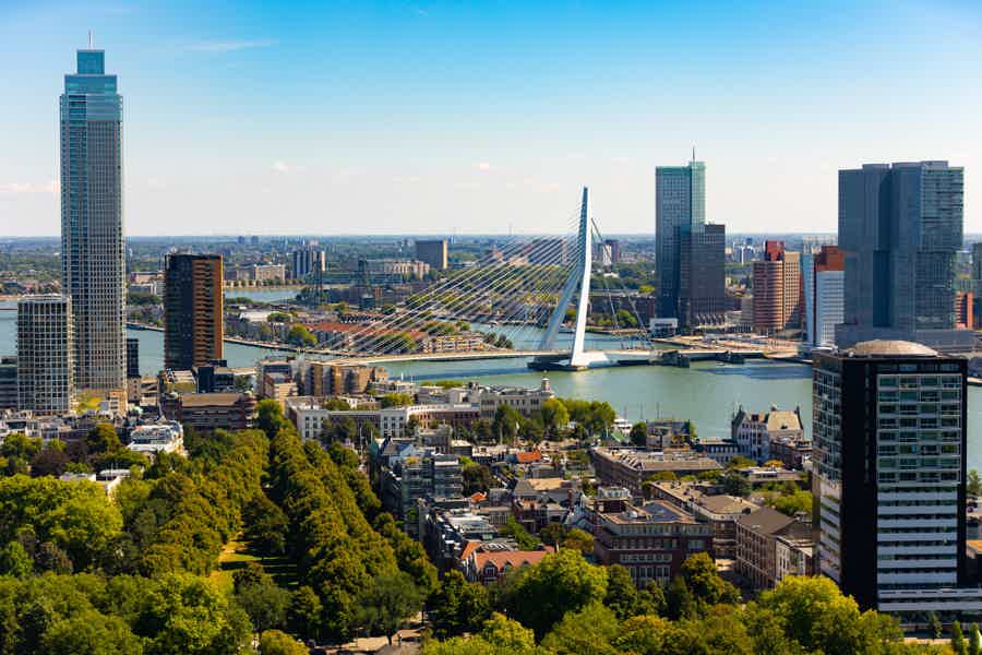 Highlights of Rotterdam, Delft, and The Hague Small Group Tour - photo 4