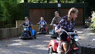 zoo dortmund kinder autoscooter