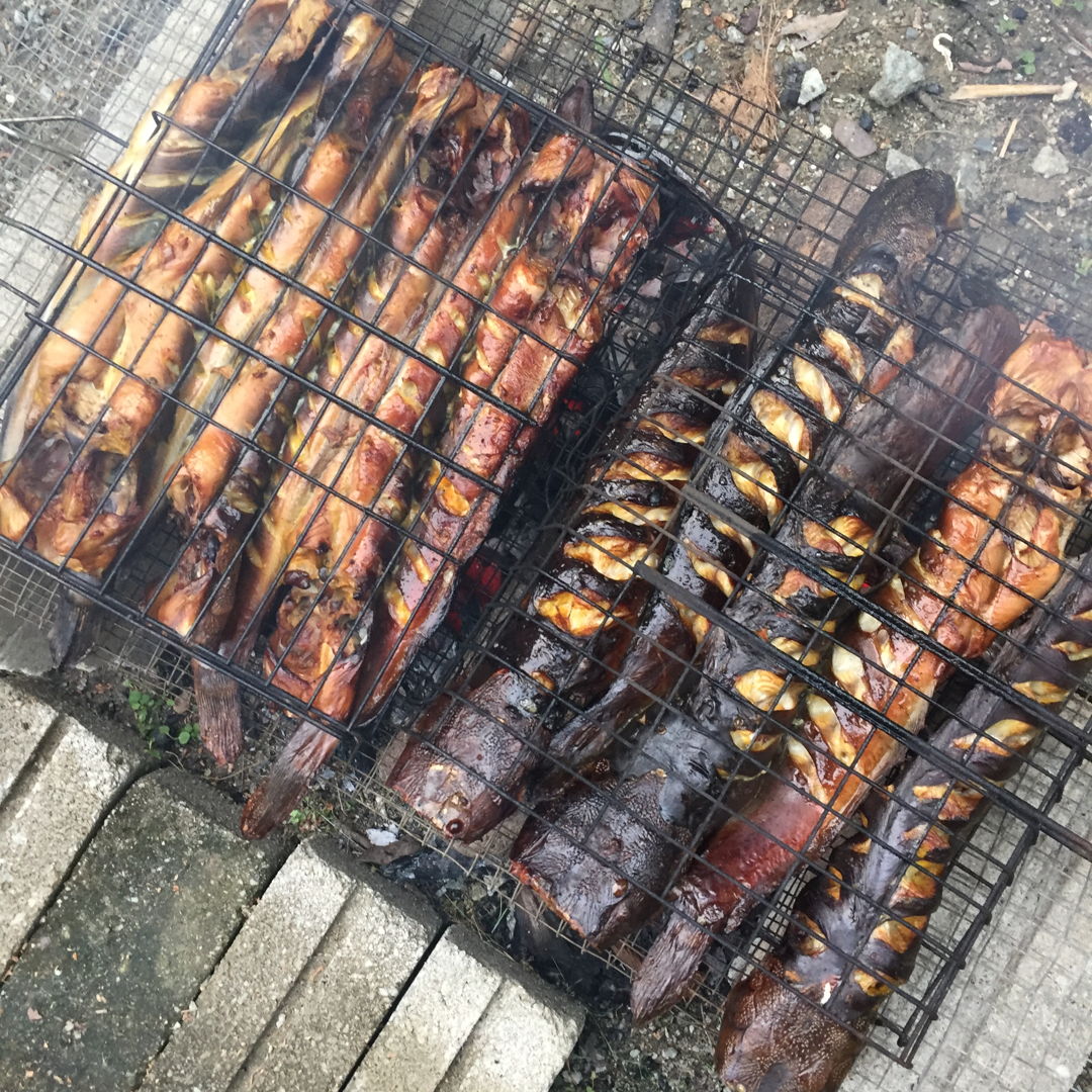 Ikan keli bakar. Grilled catfish. This photo was taken at my kampung whereby i’m in charge of preping and grilling it. super good eating it together with ‘air asam’