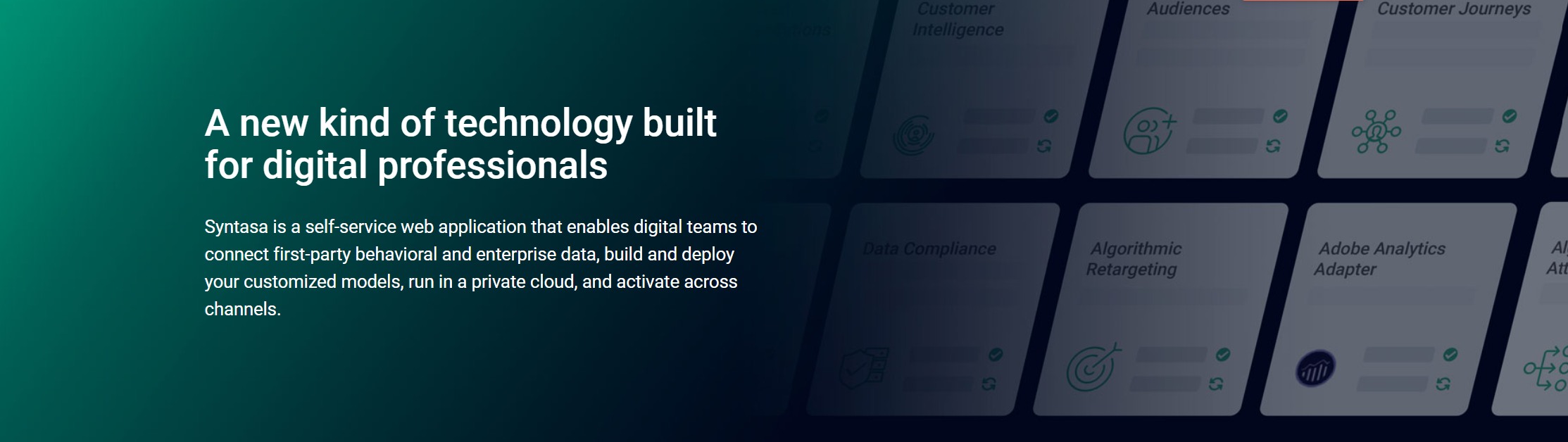 Syntasa product / service