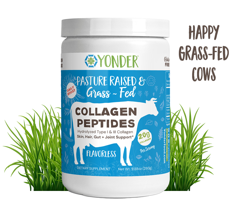 collagen peptides