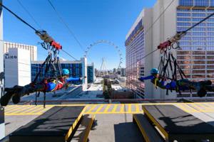 Fly LINQ Zipline