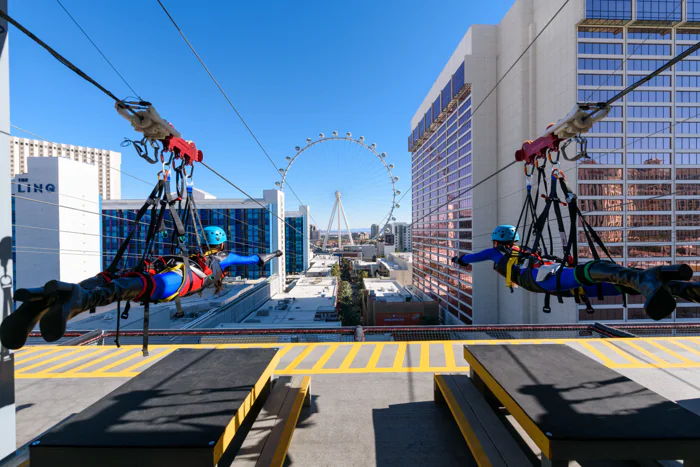 Fly LINQ Zipline