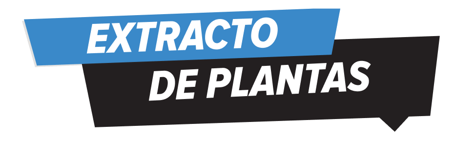EXTRACTO DE PLANTAS