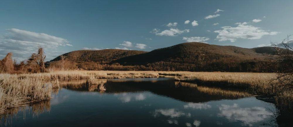 elfbar nachfüll pod läuft aus Where to Buy an E-Bike in Hudson Valley