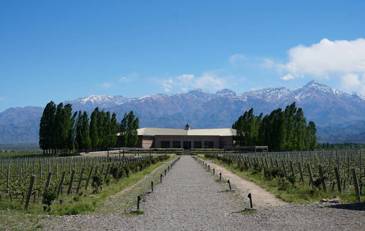 Vignoble de La Rioja, Vallée de Famatina, Argentine