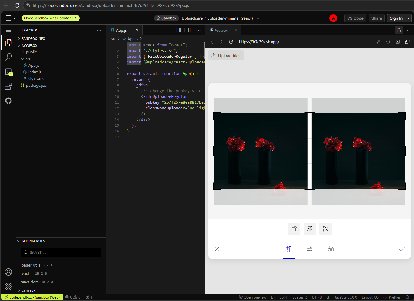 An image inside Uploadcare File Uploader Widget