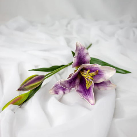 Purple Asiatic Lily Small - Realistic Artificial Flowers - Image 3