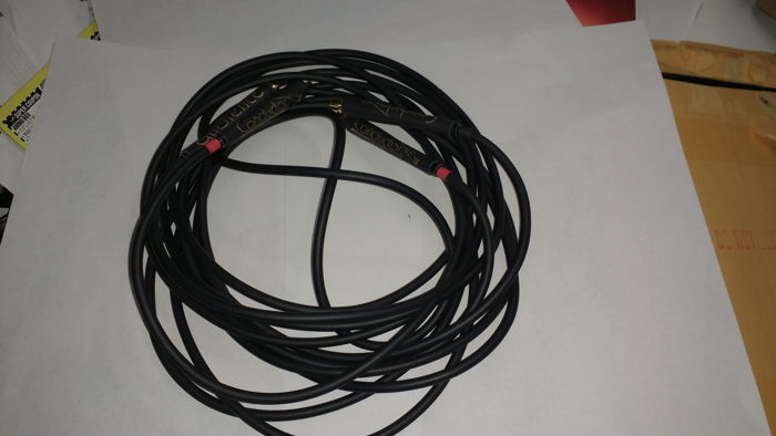 Audience conductor 3 meter RCA cable - VGC++