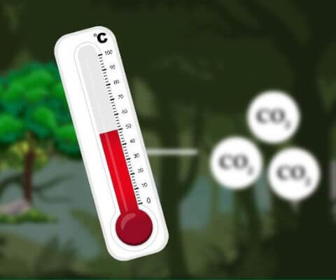 explainer video - Food Nature Climate