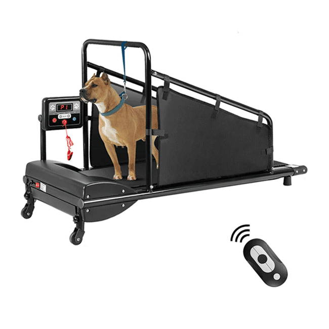 Portable Home Dog Treadmill With Wheels And Remote Control For Sale