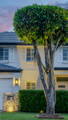 Garden spike lighting illuminating feature tree and facade in Rouse Hill by Havit