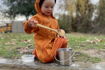 Honeybee Forest School