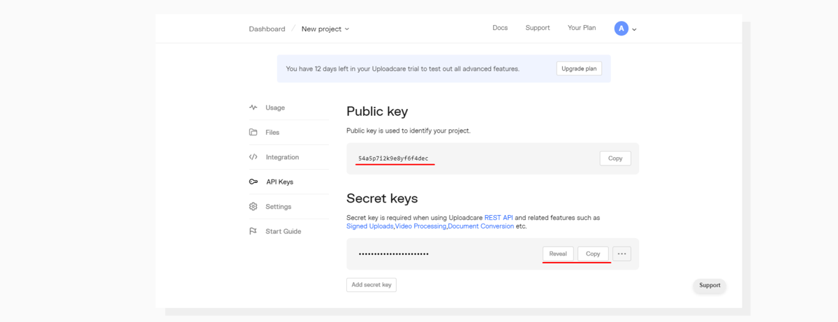 Screenshot demonstrating location of public and private API keys