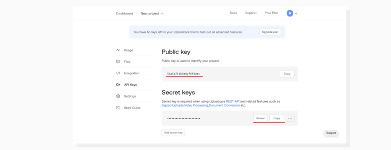 Screenshot demonstrating location of public and private API keys