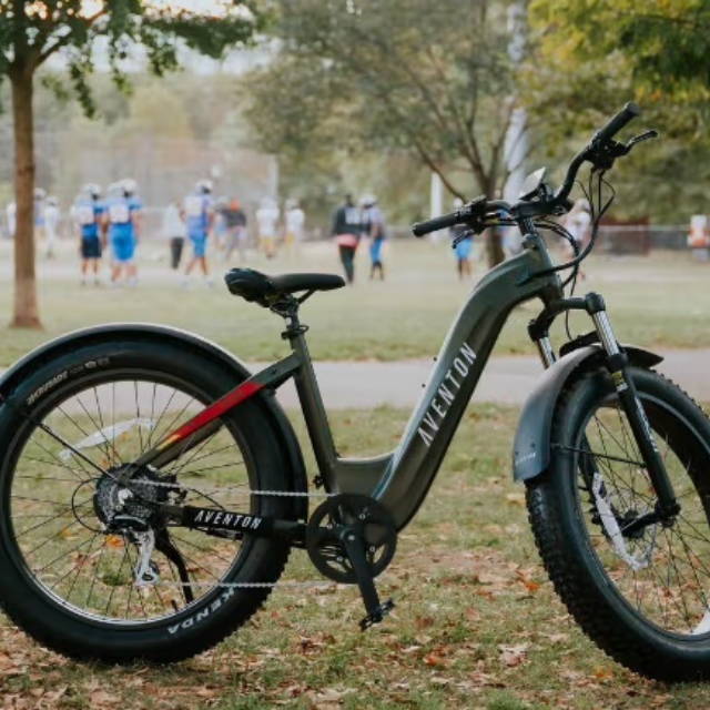 An Aventon E-Bike in a park
