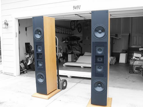 Dunlavy speakers best sale for sale