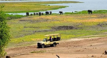 Chobe National Park Day Trip – Kasane, Botswana Tour
