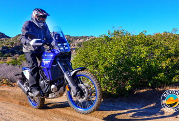 2025 YAMAHA TENERE 700 motorcycle for rent near Phoenix, AZ