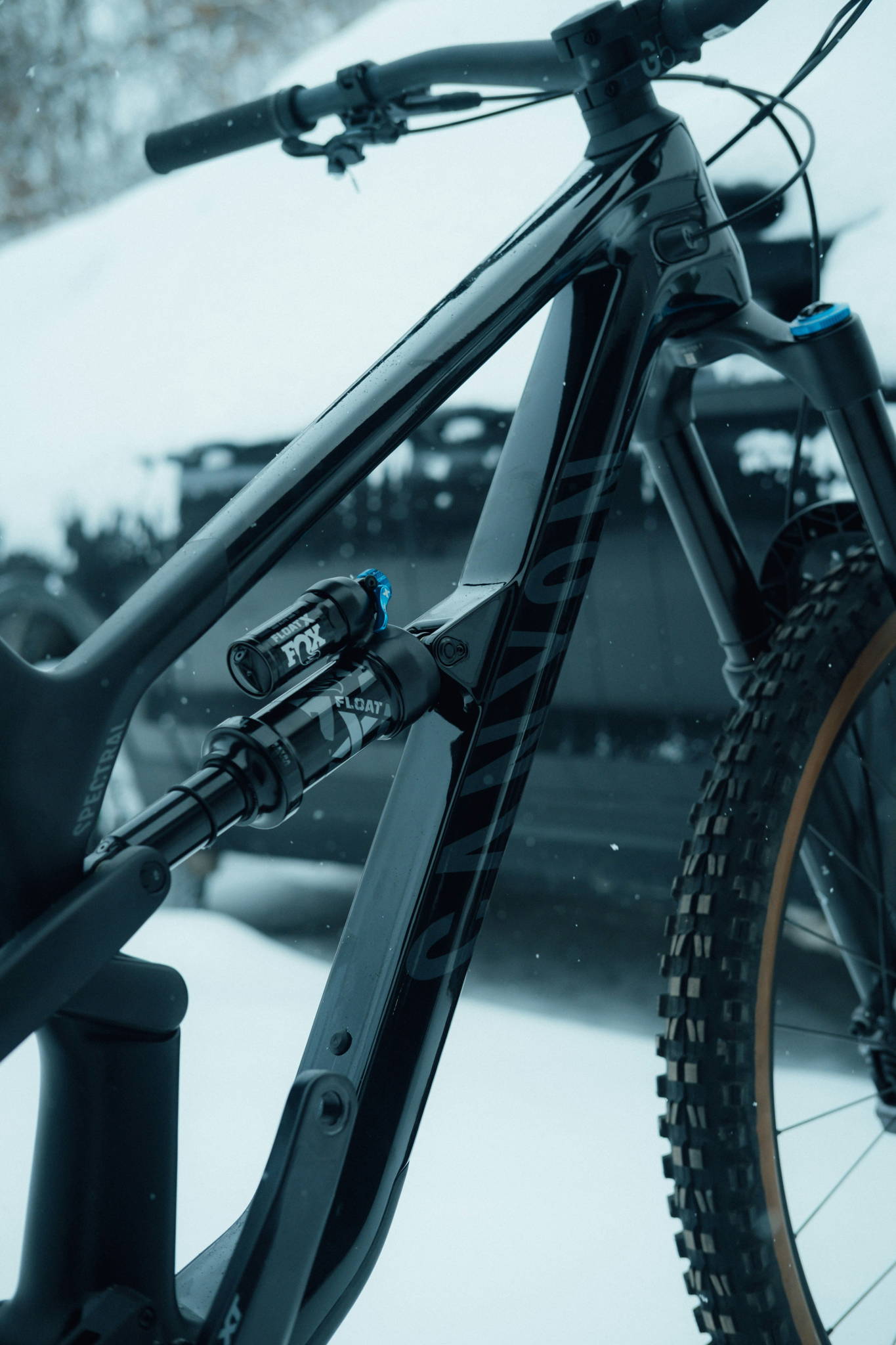 mountain bike elettrica