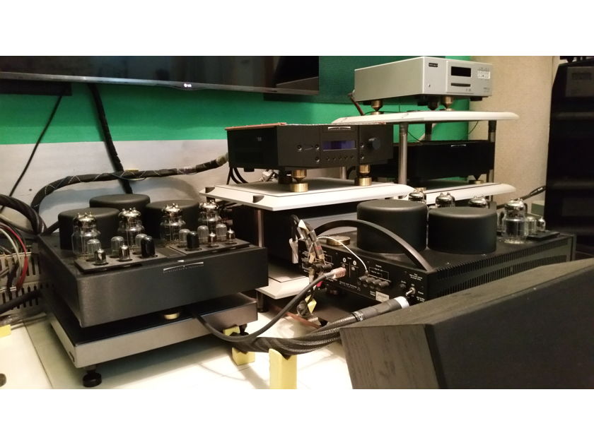 Balance Audio Technology Rex II Mono (BAT- Rex II Monoblock) power amplifier (Reduce)