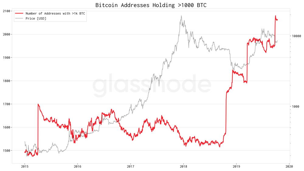 addresses of bitcoin holding over 1000 BTC