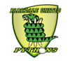 Parkdale United Cricket Club Logo