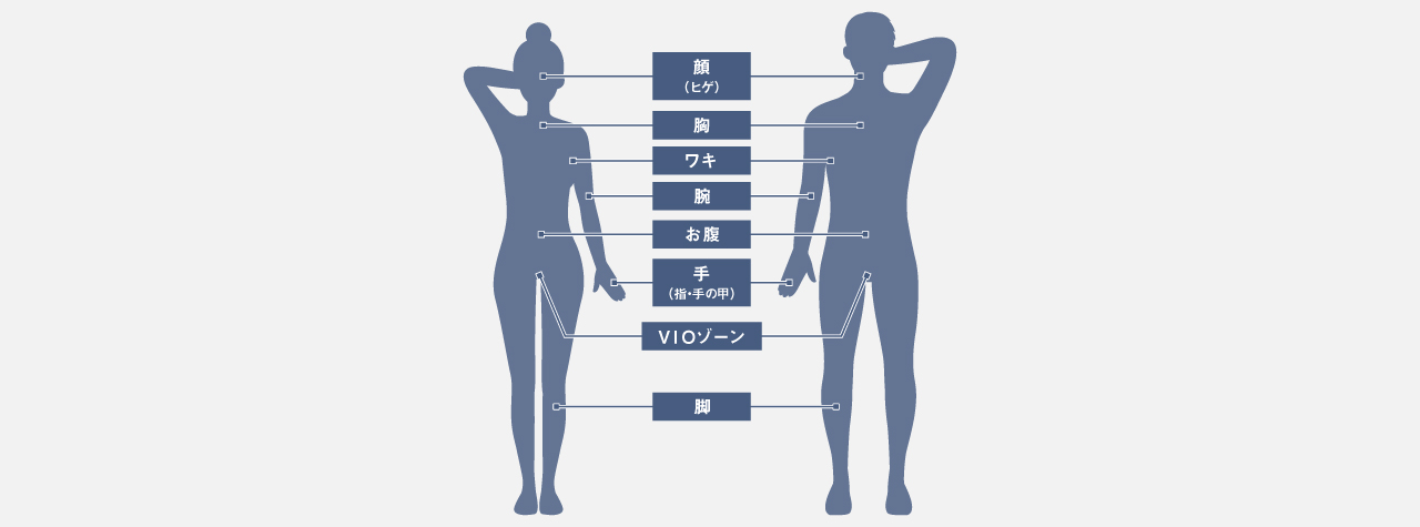 全身対応