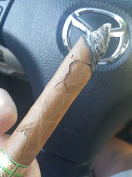 Cigar Session Photo