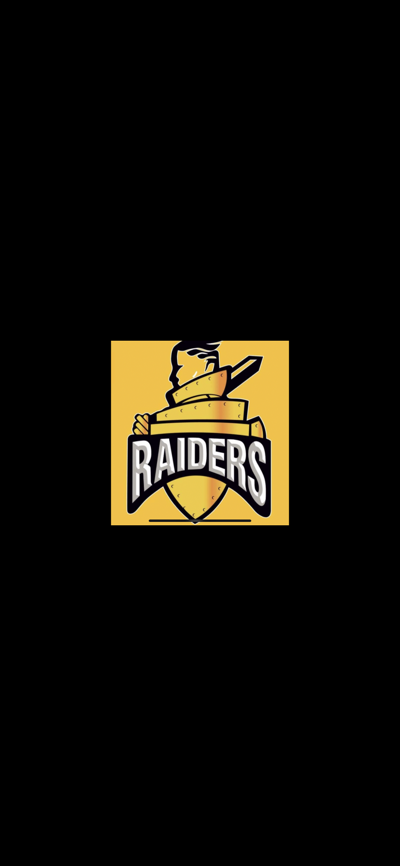 Raiders Cricket Club Logo
