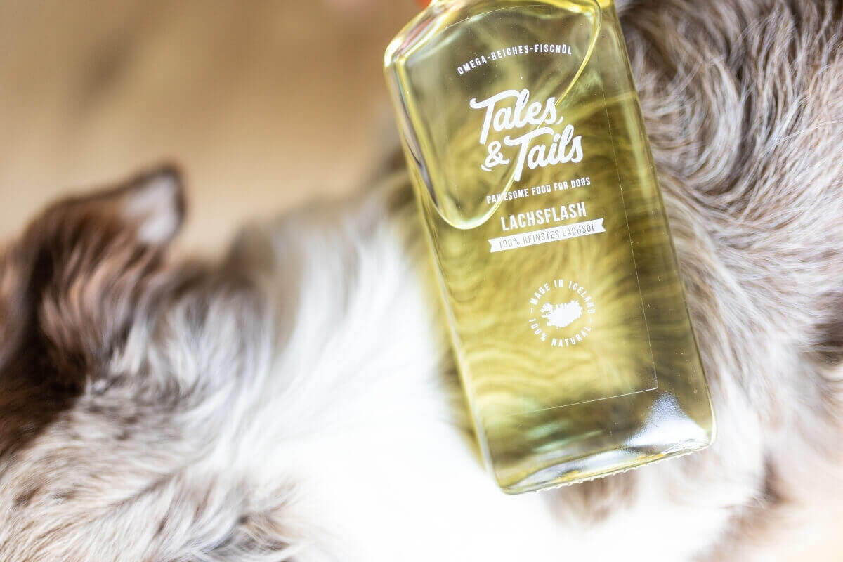 Hundebedarf Tales & Tails