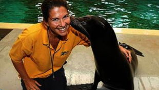 robbenhaven robben kuss