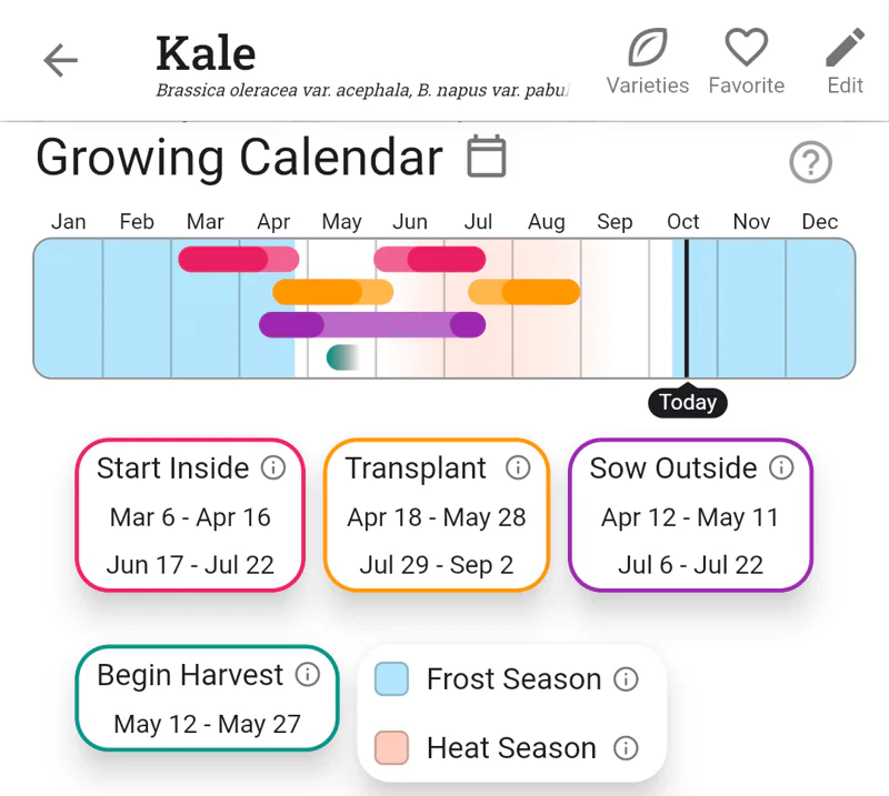 Kale growing calendar